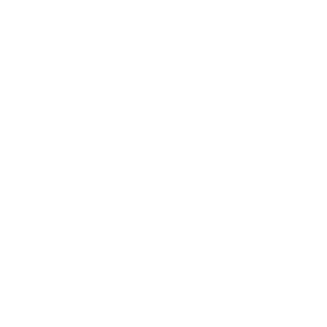 Logo2
